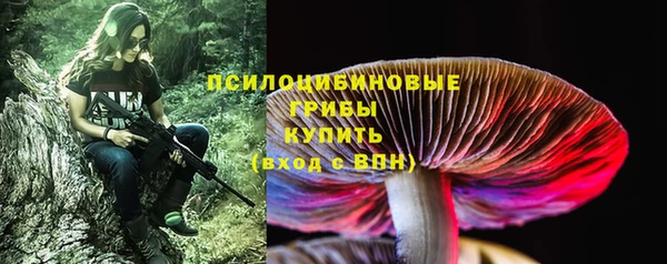 кристаллы Покачи