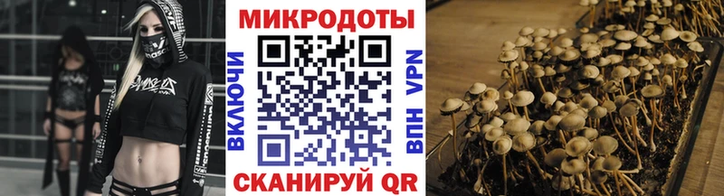 Галлюциногенные грибы мицелий  Советская Гавань 