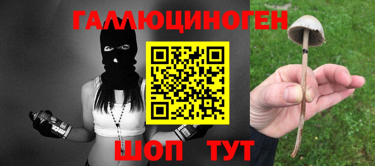 Галлюциногенные грибы Magic Shrooms  Вход с VPN  Советская Гавань 